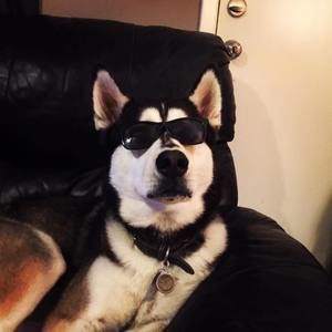 Meet your Posher, Aj